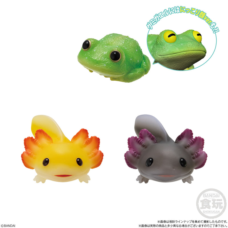 Bandai Tenori Friends 11 -Reptiles & Amphibians-