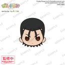 Rurouni Kenshin: Meiji Swordsman Romantic Story Bushiroad Creative Pingurumi Rurouni Kenshin: Meiji Kenkaku Romantan - Kyoto Douran