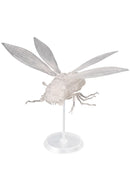 Nausicaä of the Valley of the Wind SEN-TI-NEL Takeyashiki Jizaiokimono Wingworm Clear Ver.