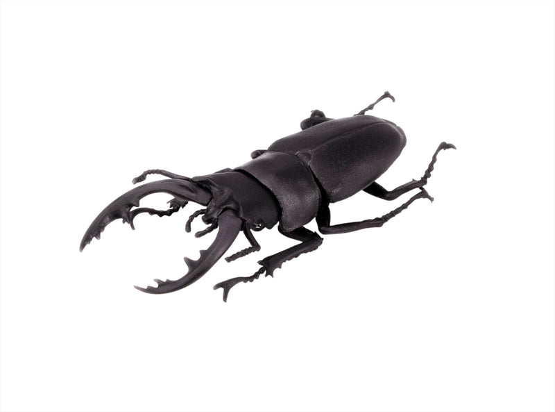 Beetle & Stag beetle Hunter F-toys confect Beetle & Stag beetle (Set of 10 Box)