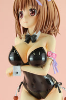 RO-KYU-BU!SS PLUM Airi Kashii -Black Bunny Ver.-