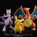 Pokémon SENTINEL POLYGO Pocket Monster Charizard
