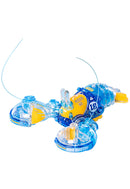 ORANGE CAT INDUSTRY Boston Lobster (Crystal Blue)