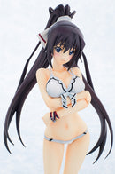 IS (Infinite Stratos) 2 Gift Houki Shinonono Swimsuit Ver.