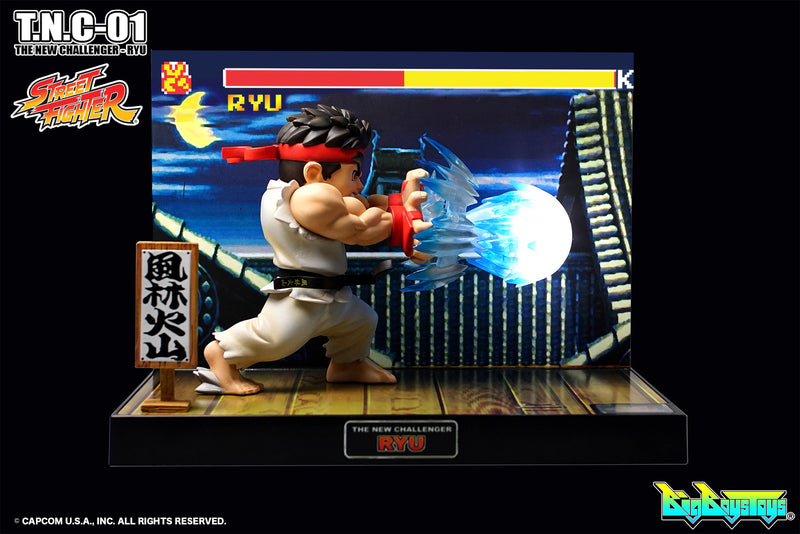 Street Fighter Big Boy Toys T.N.C. -01 RYU PVC Figure