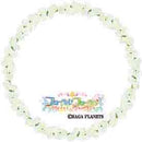 Floral Flowlove Blue select 2024 Extra Large Acrylic Stand