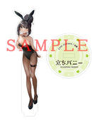Standing Bunny GAKAKU Acrylic Stand