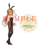 Standing Bunny GAKAKU Acrylic Stand