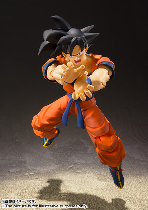 Dragon Ball Z Bandai S.H.Figuarts Son Gokou -Earth Grew up Saiyan-(JP) (3rd-order)