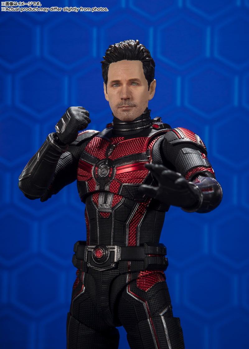 Ant-Man and the Wasp: Quantumania Bandai S.H.Figuarts Ant-Man(JP)