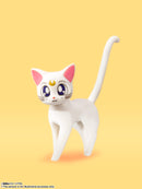 Pretty Guardian Sailor Moon Bandai S.H.Figuarts  Sailor Venus -Animation Color Edition-(JP)