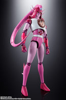 Mazinger Z Bandai Soul of Chogokin GX-108 Rhein X1 & GX-11R Dianan A(JP)