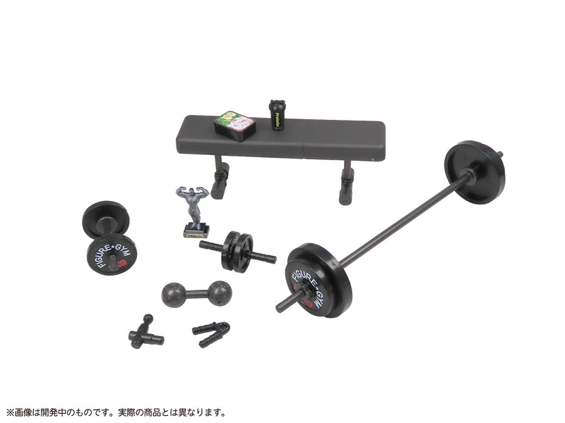 MIC Pripra Figure of Strength Training