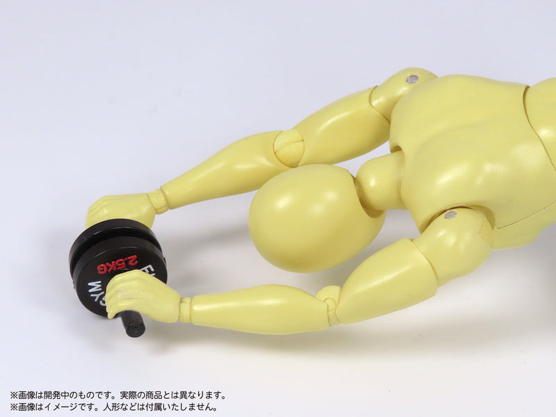 MIC Pripra Figure of Strength Training