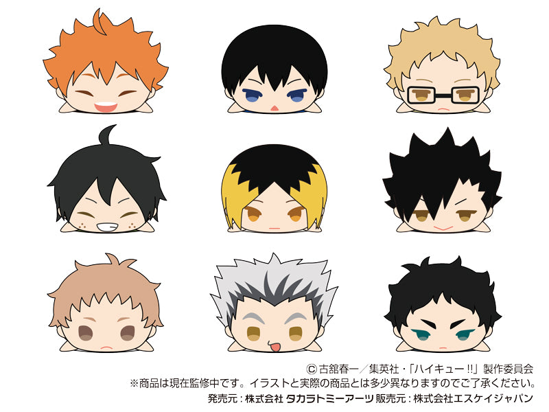 Haikyu!! Takaratomy Arts Mochimochi Mascot WA Vol.1