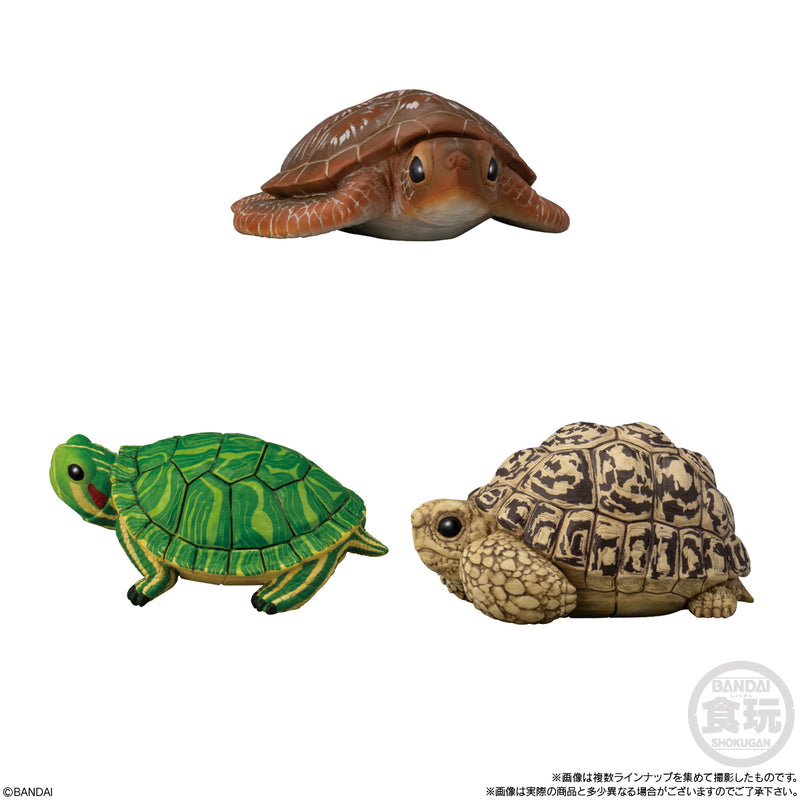 Bandai Tenori Friends 11 -Reptiles & Amphibians-