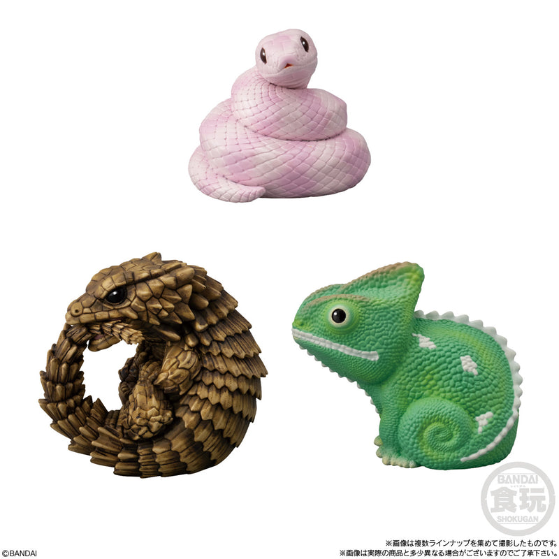 Bandai Tenori Friends 11 -Reptiles & Amphibians-