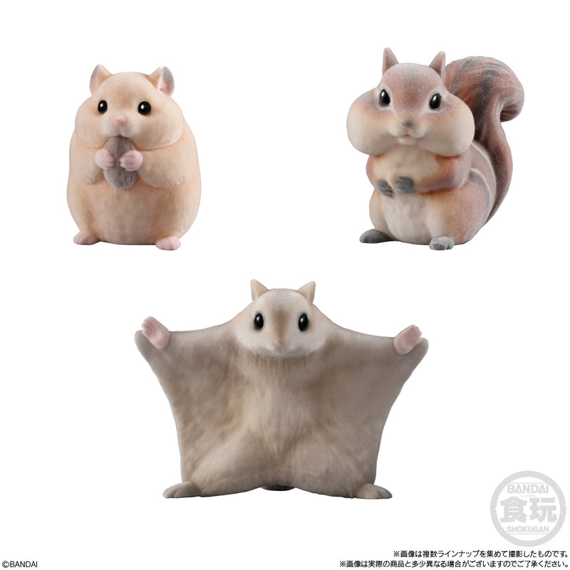 Mofumofu Tenori Friends 2 Bandai -Small Animals-