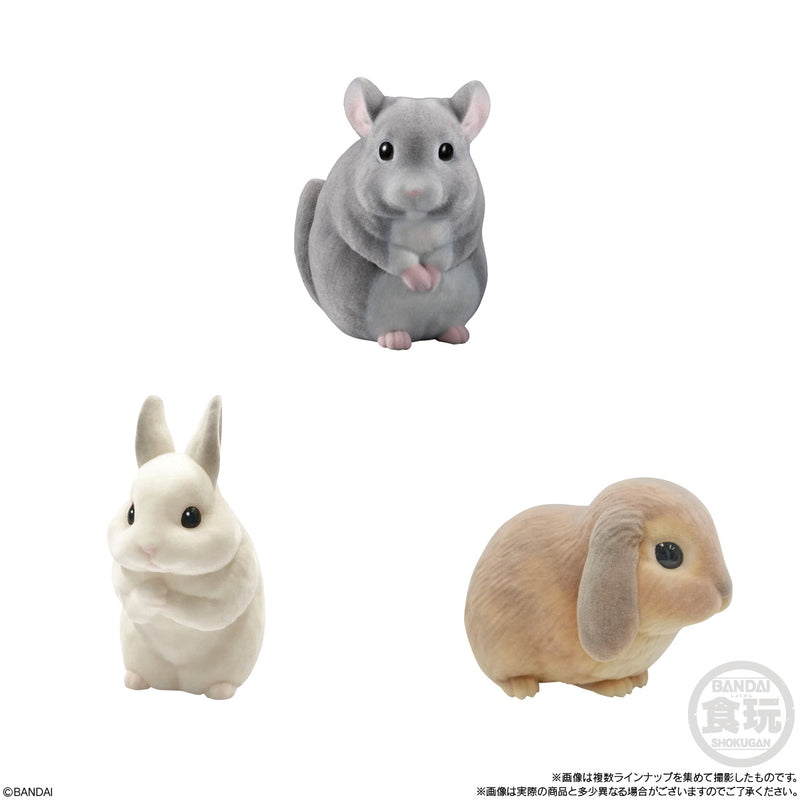 Mofumofu Tenori Friends 2 Bandai -Small Animals-