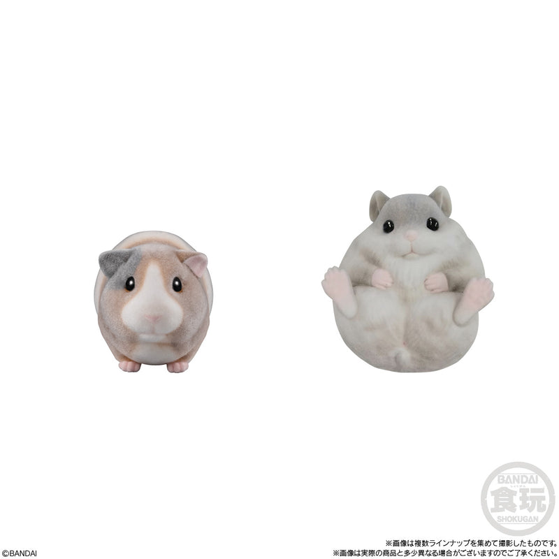 Mofumofu Tenori Friends 2 Bandai -Small Animals-