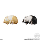 Bandai Mocchirikororin Cat