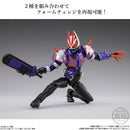 Kamen Rider Bandai Shodo EXCEED