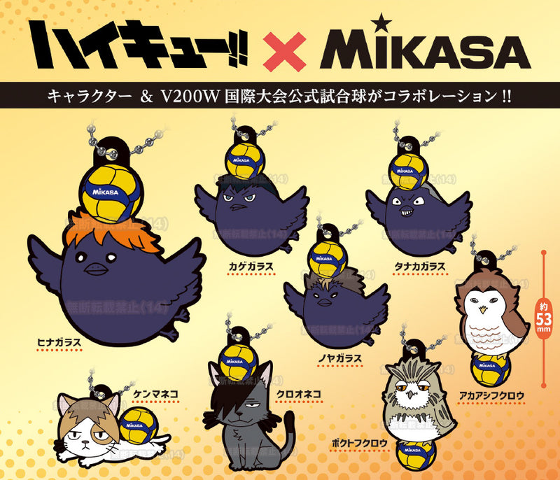 Haikyu!! x MIKASA Kotoful Chara Rubber Collection 2