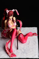 Fairy Tail ORCATOYS Erza Scarlet Sakura Cat Gravure Style