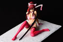 Fairy Tail ORCATOYS Erza Scarlet Sakura Cat Gravure Style