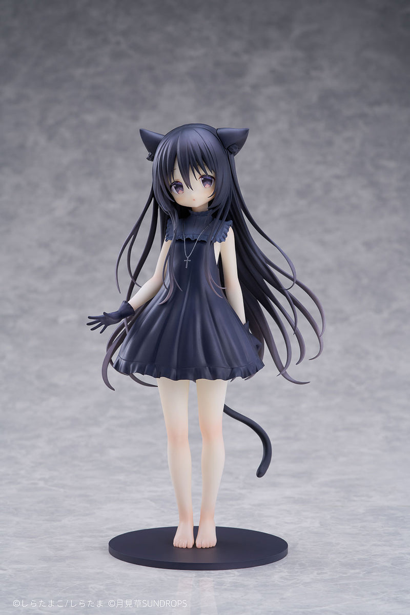 Hoshizora Tetsudou to Shiro no Tabi SUNDROPS Noir