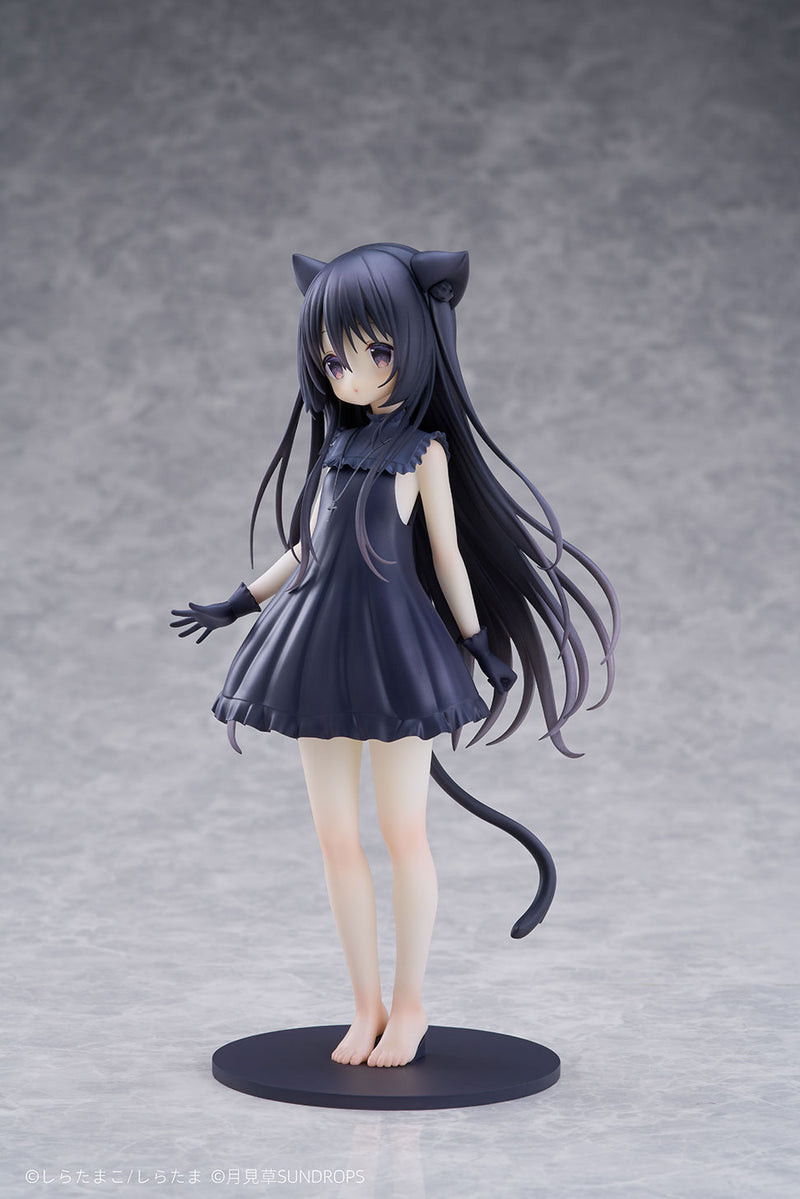 Hoshizora Tetsudou to Shiro no Tabi SUNDROPS Noir