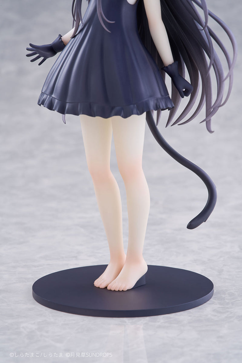 Hoshizora Tetsudou to Shiro no Tabi SUNDROPS Noir