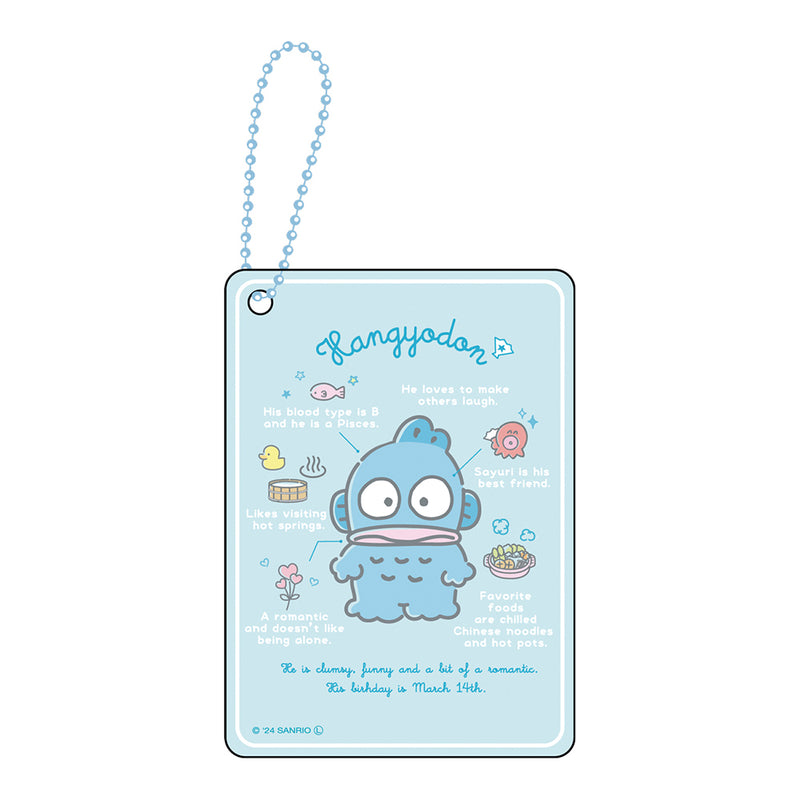 Sanrio Characters Secret Clear Card Key Chain Profile