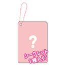 Sanrio Characters Secret Clear Card Key Chain Profile