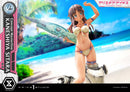 Alice Gear Aegis Prime 1 Studio Concept Masterline Kaneshiya Sitara
