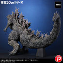 Godzilla Plex Toho 30cm Godzilla (Godzilla the Ride: Great Clash )
