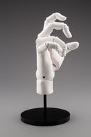TAKAHIRO KAGAMI Kotobukiya ARTIST SUPPORT ITEM HAND MODEL/R -WHITE- (3rd-run)