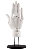 TAKAHIRO KAGAMI Kotobukiya ARTIST SUPPORT ITEM HAND MODEL/R -WHITE- (3rd-run)