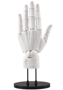 Artist Support Item Hand Model Kotobukiya Men's/L -White-