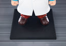 Mega Man Kotobukiya OSHI WORKS Dr. Wily & Dr. Light