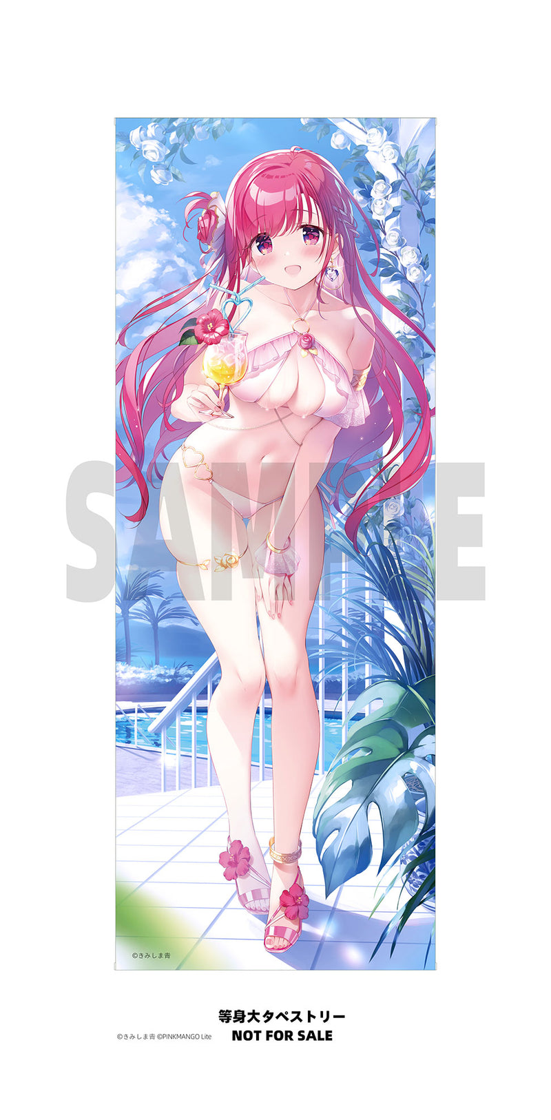 illustration by Ao Kimishima PinkMango Riko-chan with Bonus Limited Edition