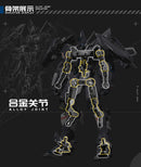 DRAGON SOUL FIGHTER SERIES X-PLAY J-20 CANG WEI PLASTIC MODEL KIT