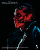 The Terminator INART T-800 1/6 Scale Collectible Figure