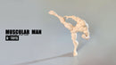 K-TOYS 1/12 SCALE ACTION FIGURE FIGURE MUSCULAR MAN BODY KT01A WHITE SKIN