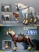 FISH TOYS KNIGHT'S GLORY FULL ARMOR SET COMPONENTS
