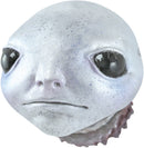 ELDEN RING SO-TA Magnet Mascot