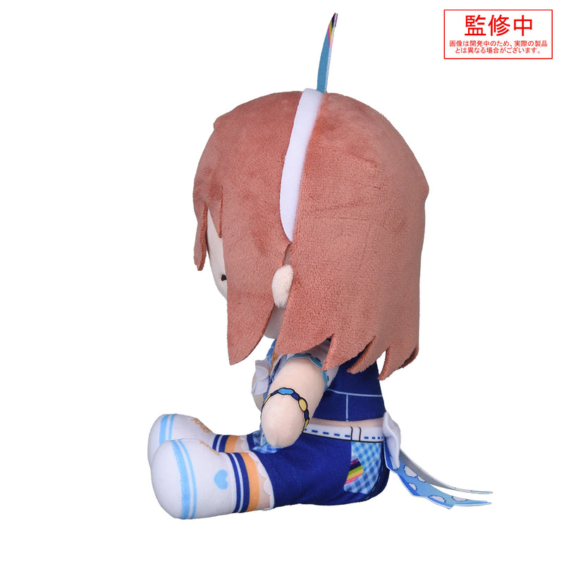 Project SEKAI Colorful Stage! feat. Hatsune Miku SEGA Fuwa Petit Plush Hanasato Minori -Let's RE:START From Here!- M
