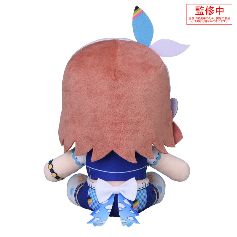 Project SEKAI Colorful Stage! feat. Hatsune Miku SEGA Fuwa Petit Plush Hanasato Minori -Let's RE:START From Here!- M