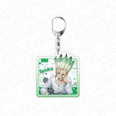 Dr. Stone Contents Seed Acrylic Key Chain Neko to Issho Ver.