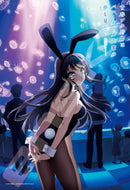 Rascal Does Not Dream of Bunny Girl Senpai Jigsaw Puzzle Seishun Buta Yaro wa Bunny Girl-senpai no Yume wo Minai(1-2 selection)